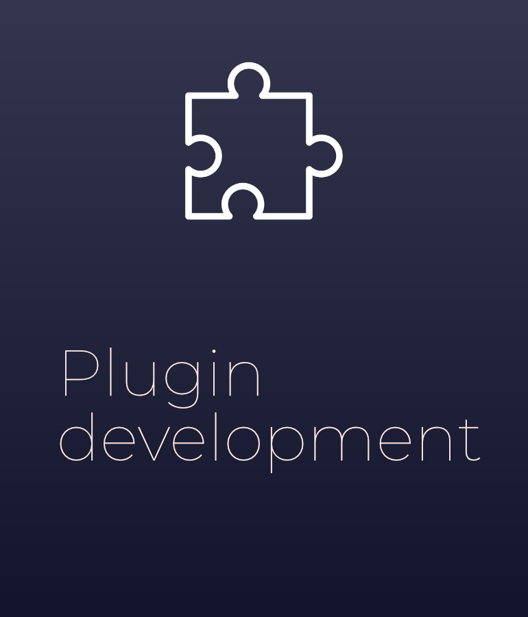 Entwicklung individueller Software-Plugins